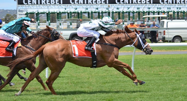 Irischer Jockey Michael O’Sullivan verstorben nach Rennunfall