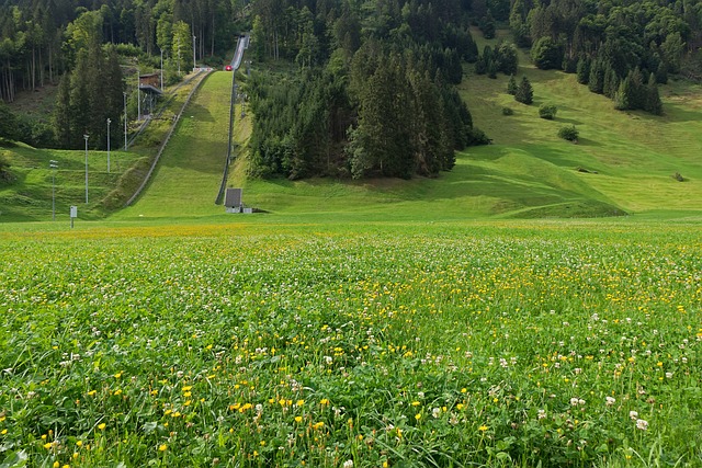 Deutsche Skispringer vor Weltmeisterschaften in schwieriger Lage