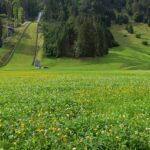 Skispringen: Wellinger äußert Zweifel an Lindviks Aussagen im Anzug-Skandal