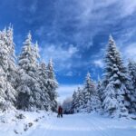 Skispringer Stephan Leyhe beendet seine Karriere