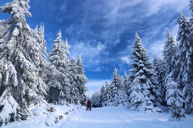 Skispringer Stephan Leyhe beendet seine Karriere