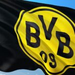 Borussia Dortmund Without Svensson Due to Knee Injury