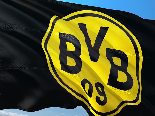 Borussia Dortmund Without Svensson Due to Knee Injury