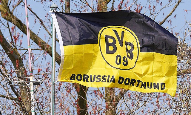 Felix Nmecha Returns to Training with Borussia Dortmund