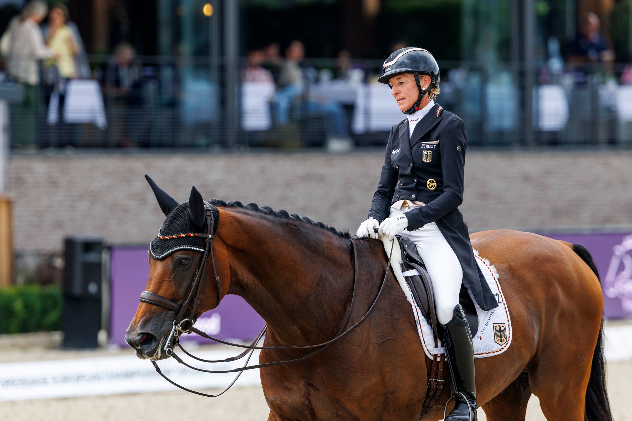 Dressur-EM: Gold für das deutsche Team