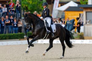 Werths zweiter Versuch für 10. Einzel-Gold bei Dressur-EM