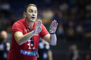 Absturz auf Abstiegsplatz: Wetzlar-Trainer Ilic tritt zurück