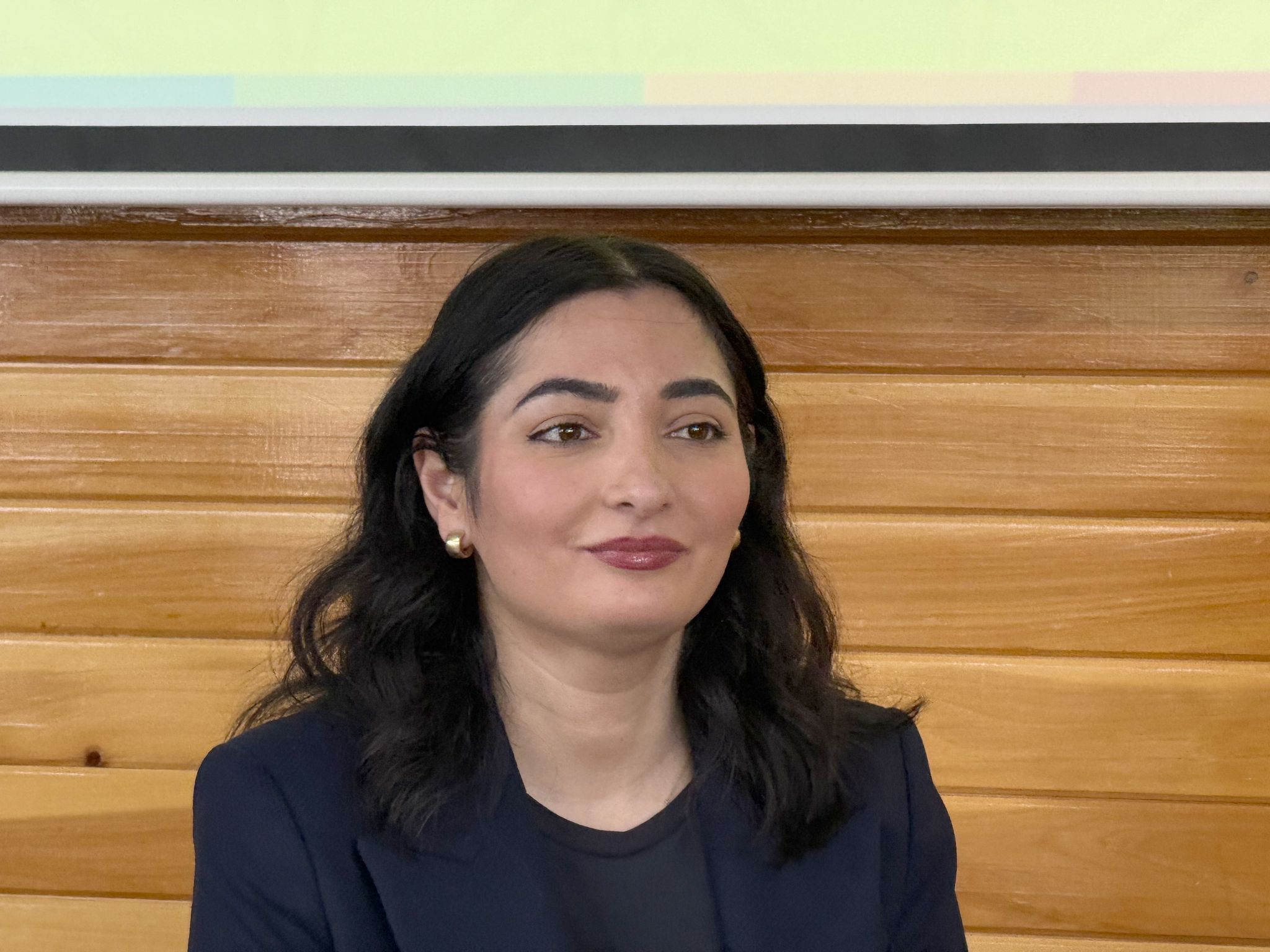Der Ehemann von Entwicklungsministerin Reem Alabali Radovan