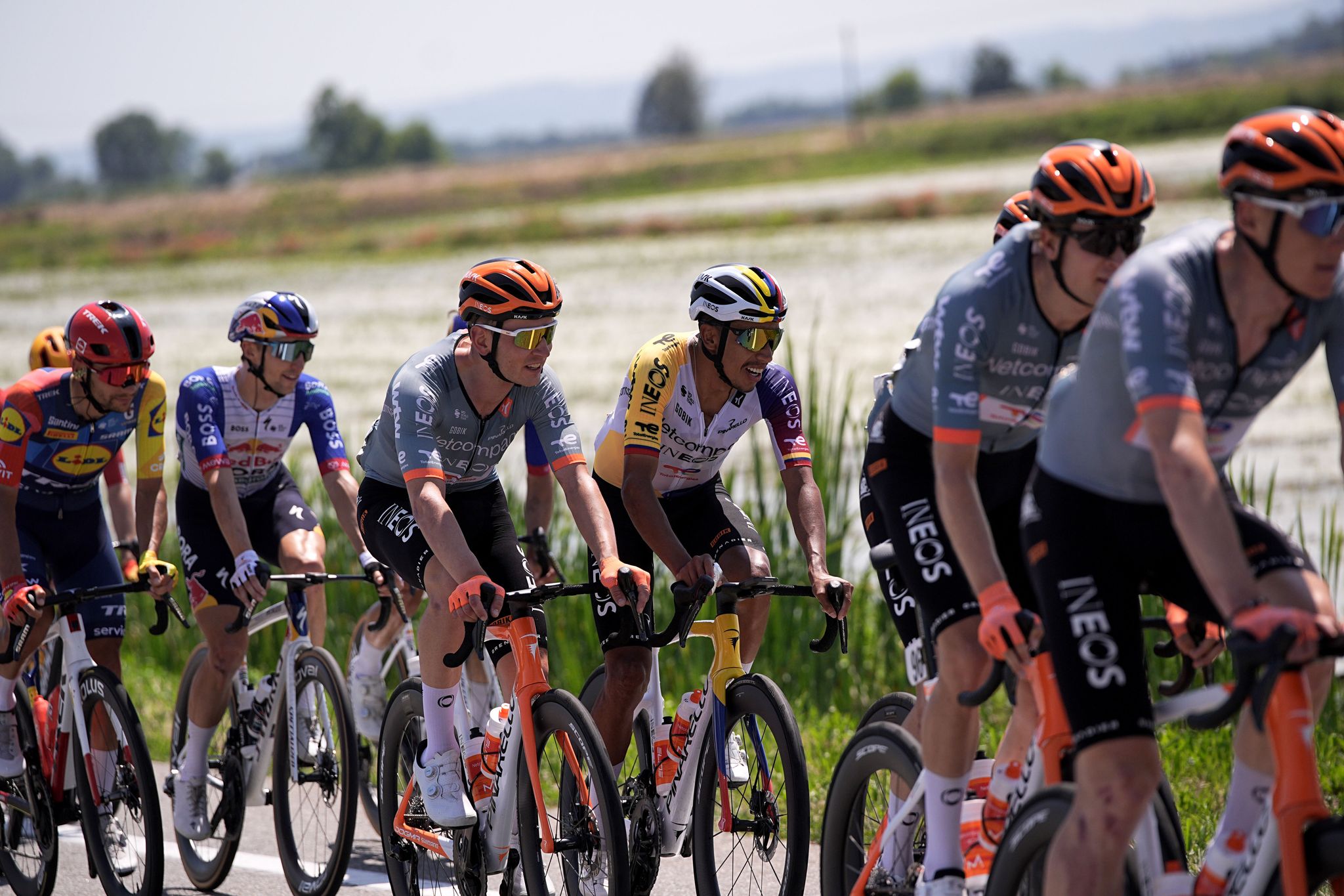 Radprofis auf der 13. Etappe des 109. Giro d'Italia.