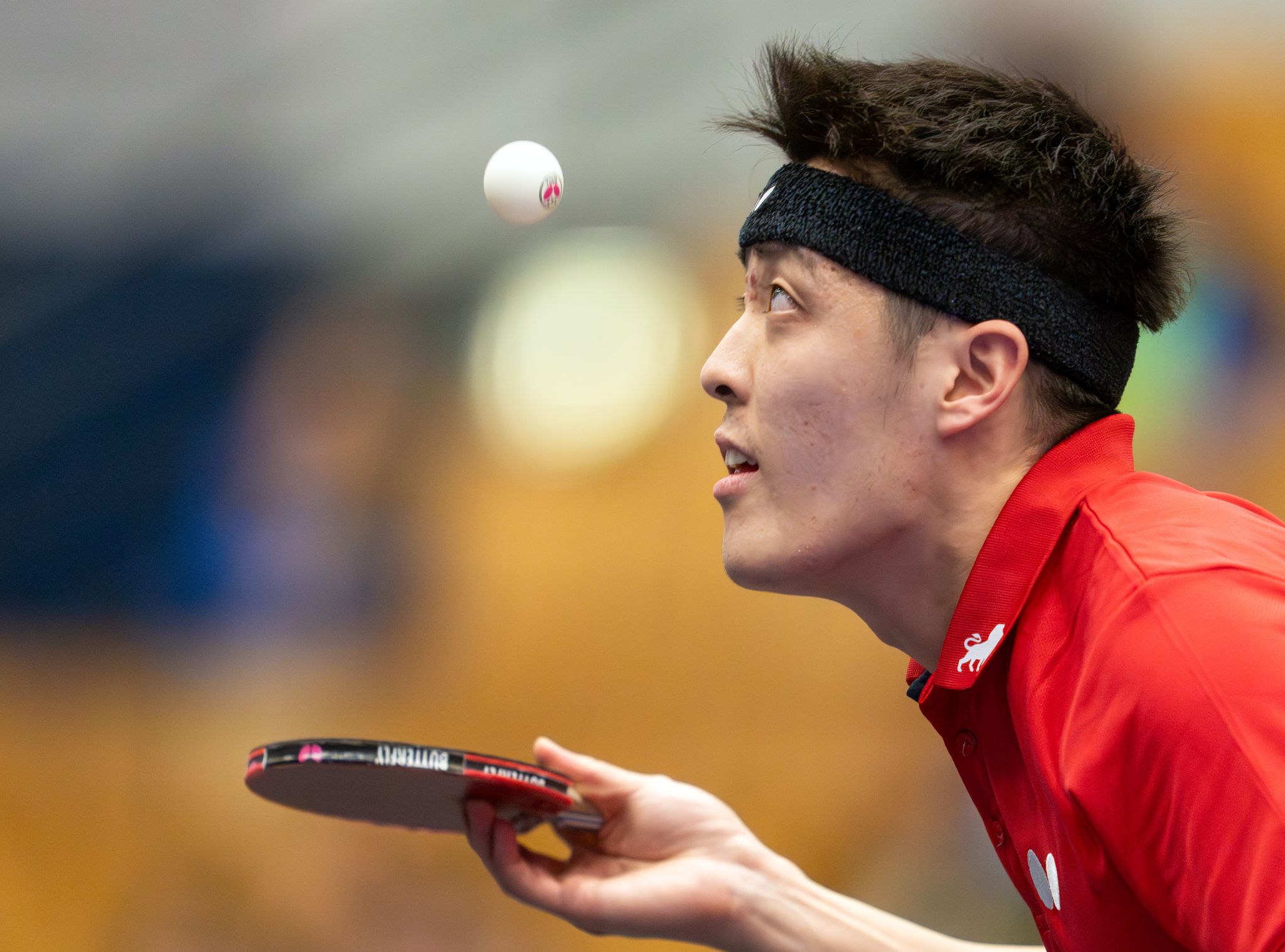 WM-Medaille als Ziel: Der deutsche Tischtennis-Nationalspieler Dang Qiu.