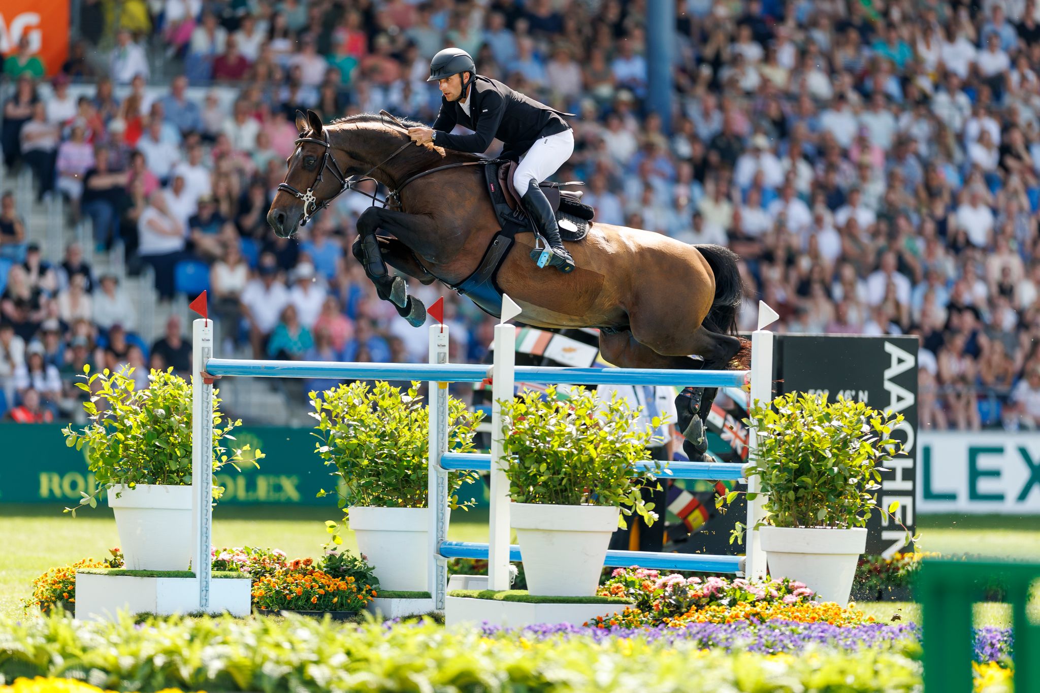 Richard Vogel gewinnt den Großen Preis von Aachen.
