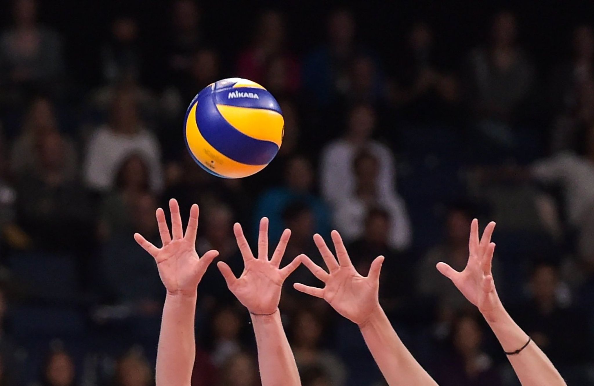 Die ASV Volleys aus Dachau ziehen sich aus der Bundesliga zurück. (Archivbild)