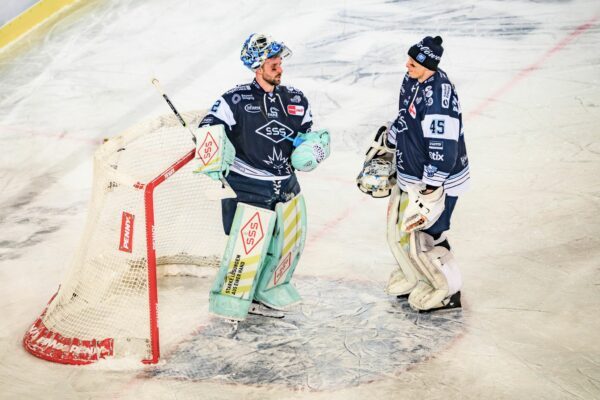 Nach nur einer Saison müssen die Dresdner Eislöwen wieder in die DEL2. (Archivbild)