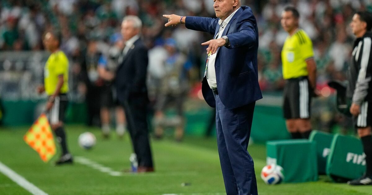 Miroslav Koubek ist seinen Job als Nationaltrainer Tschechiens los.