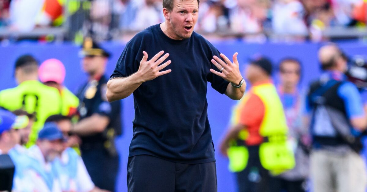 Bin ich jetzt an allem Schuld? Julian Nagelsmann gestikuliert während des Paraguay-Spiels.