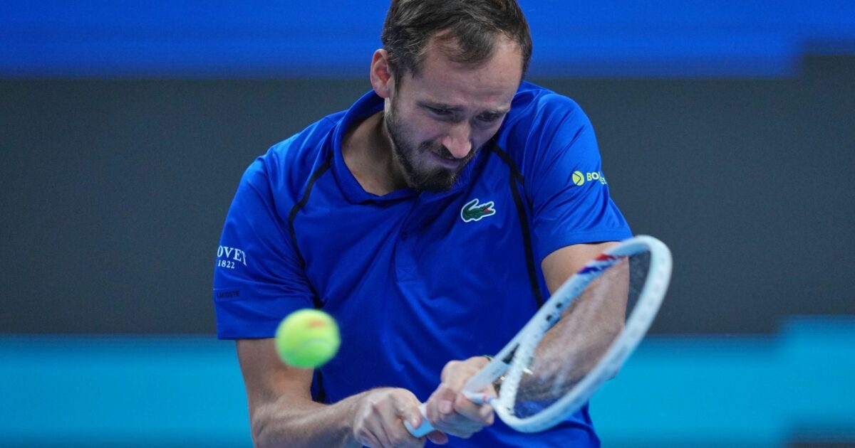 Daniil Medwedew gewann gegen Jan-Lennard Struff. (Archivbild)