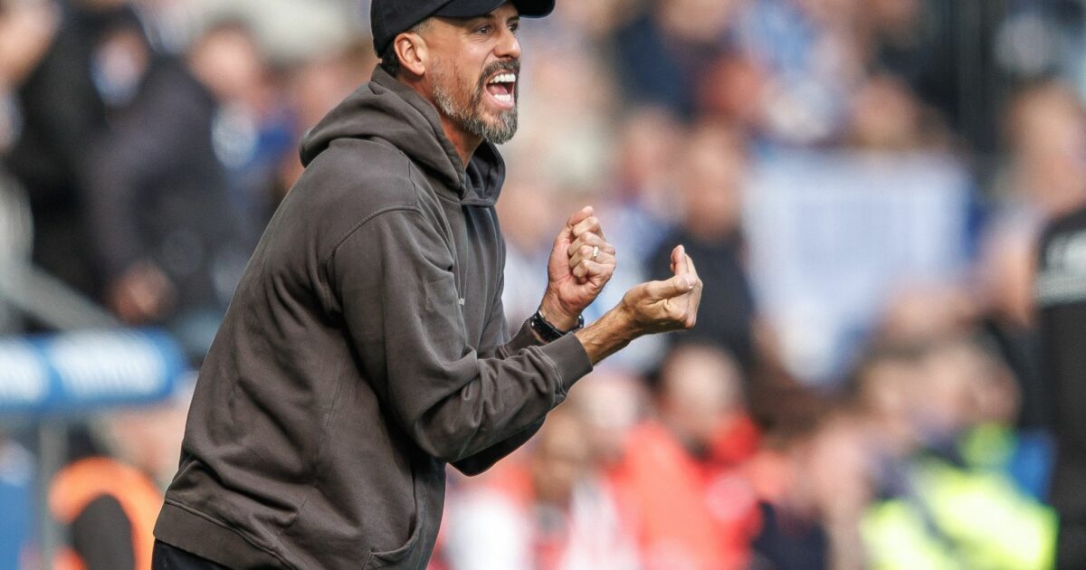 Sandro Wagner arbeitet bei seinem Zweitliga-Debüt als Trainer von Hannover 96 leidenschaftlich an der Seitenlinie.