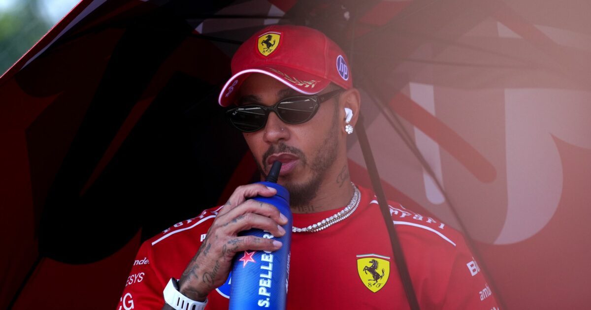 Ein Formel-1-Rennen in Afrika ist für Lewis Hamilton ein Traum. (Archivbild)